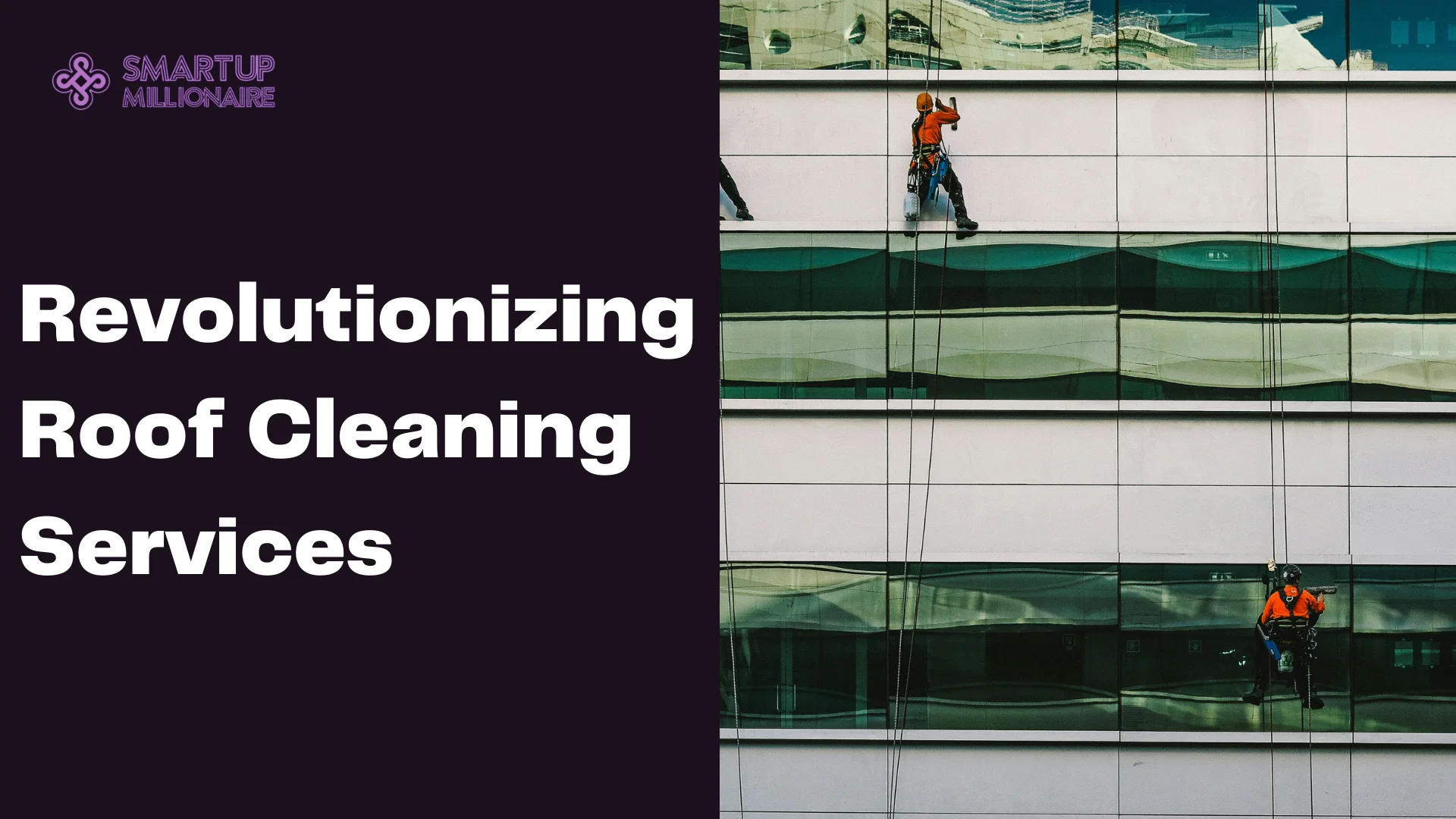 Revolutionizing Roof Cleaning Services: Lucrative Business Idea